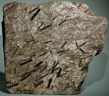 Schist - Tourmaline